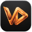 Vidiograph
